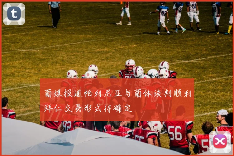葡媒报道帕利尼亚与葡体谈判顺利拜仁交易形式待确定