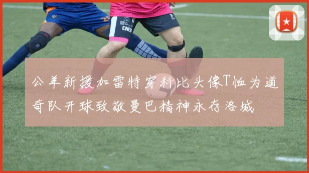 公羊新援加雷特穿科比头像T恤为道奇队开球致敬曼巴精神永存洛城