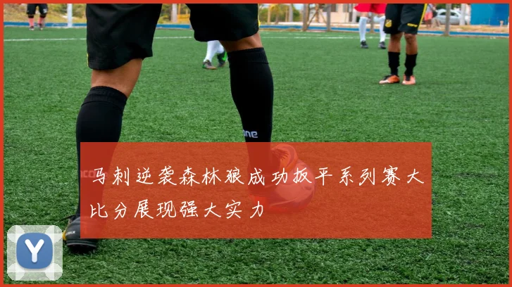 马刺逆袭森林狼成功扳平系列赛大比分展现强大实力
