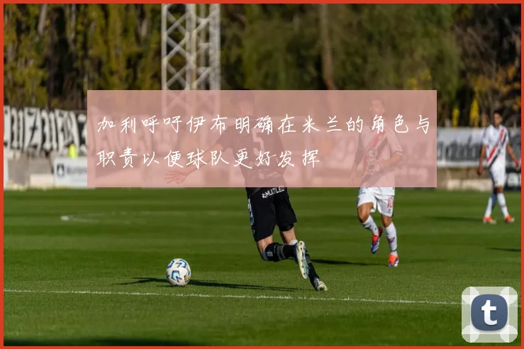加利呼吁伊布明确在米兰的角色与职责以便球队更好发挥